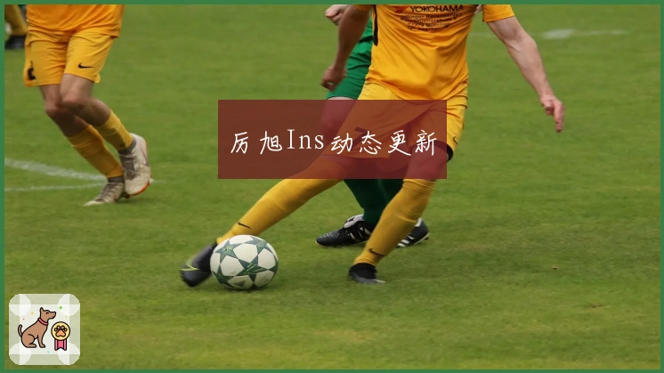 厉旭Ins动态更新